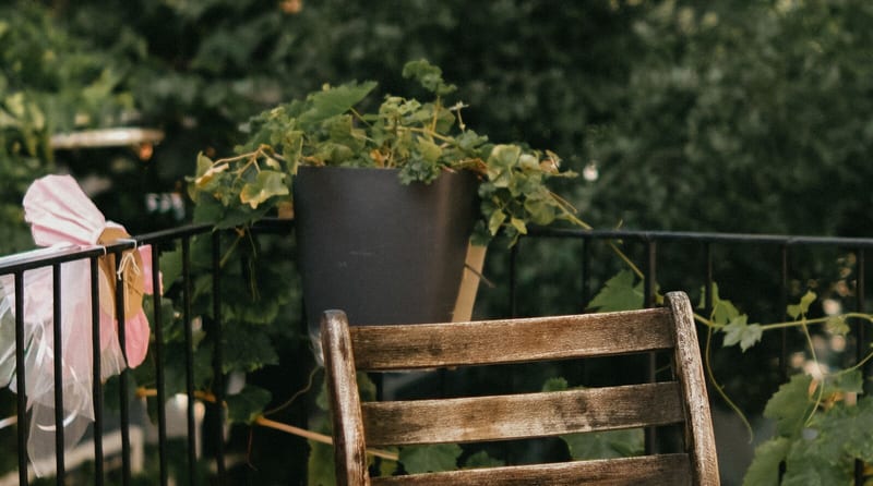Wohnung Garten mit Terrasse zum Garten